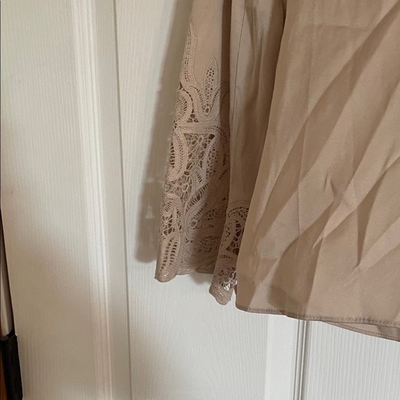 Kobi Halperin Taupe Blouse with Lace Sleeves - Picture 2 of 3